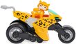 Paw Patrol Cat Pack Transportlīdzekļu komplekts + Ēnu figūra цена и информация | Rotaļlietas zēniem | 220.lv