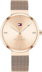 Tommy Hilfiger Watch 1782218 цена и информация | Женские часы | 220.lv