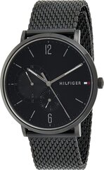 Vīriešu Pulkstenis Tommy Hilfiger BROOKLYN (Ø 40 mm) цена и информация | Мужские часы | 220.lv