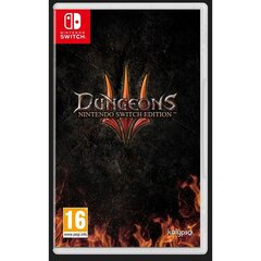 Videospēle priekš Switch KOCH MEDIA DUNGEONS cena un informācija | Datorspēles | 220.lv