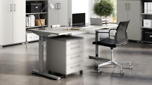 Письменный стол 4253, серый цвет цена и информация | Компьютерные, письменные столы | 220.lv