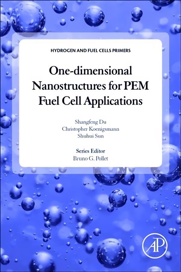 One-dimensional Nanostructures for PEM Fuel Cell Applications цена и информация | Sociālo zinātņu grāmatas | 220.lv