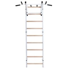 Гимнастическая лестница для лечебной физкультуры BenchK 731W цена и информация | Шведские стенки | 220.lv