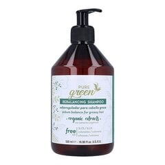 Pure Green Šampūns Rebalancing Pure Green cena un informācija | Šampūni | 220.lv