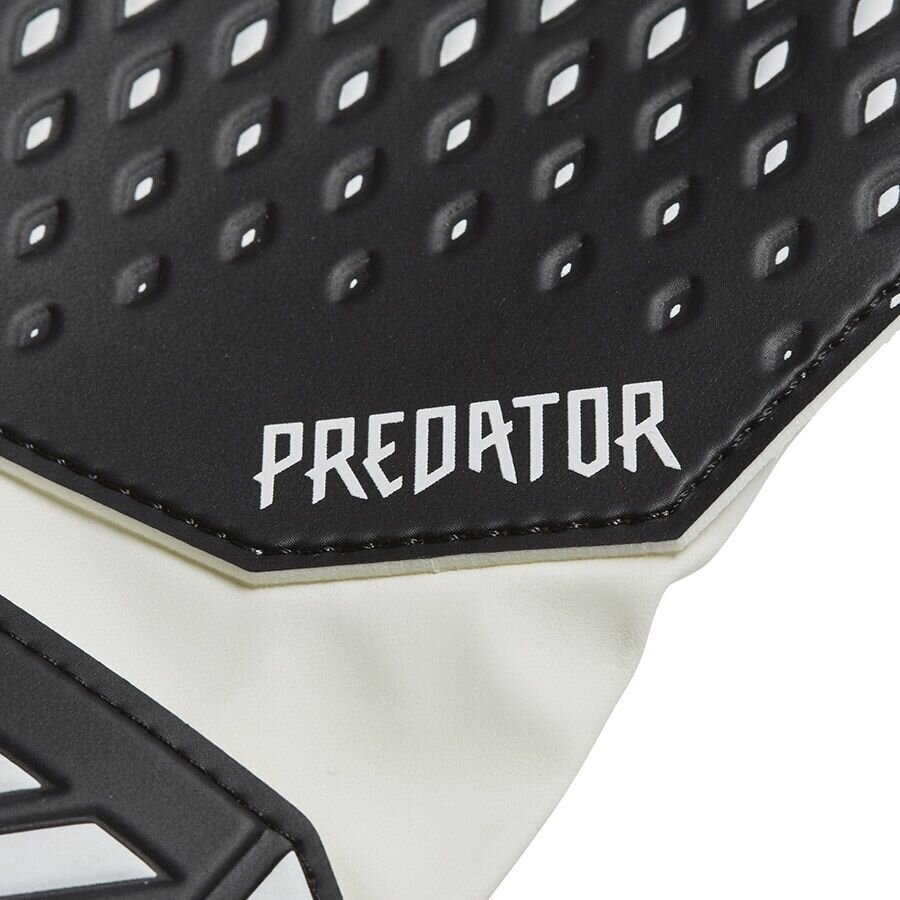 Vārtsarga cimdi Adidas Predator 20 Training Jr, balti, melni cena un informācija | Vārtsarga cimdi | 220.lv