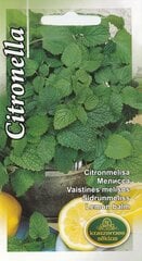 Citronmelisa cena un informācija | Garšvielu sēklas | 220.lv