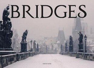 Bridges цена и информация | Книги по фотографии | 220.lv