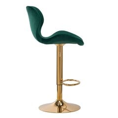 Профессиональное кресло для визажиста QS-B15, зеленый велюр цена и информация | Мебель для салонов красоты | 220.lv