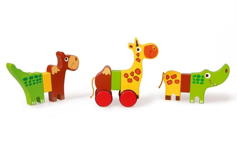 Magnētiskie dzīvnieki Rolling safari, Scratch Preschool, 6181032 3 gab. цена и информация | Attīstošās rotaļlietas | 220.lv