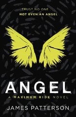 Angel: A Maximum Ride Novel: (Maximum Ride 7) cena un informācija | Grāmatas pusaudžiem un jauniešiem | 220.lv
