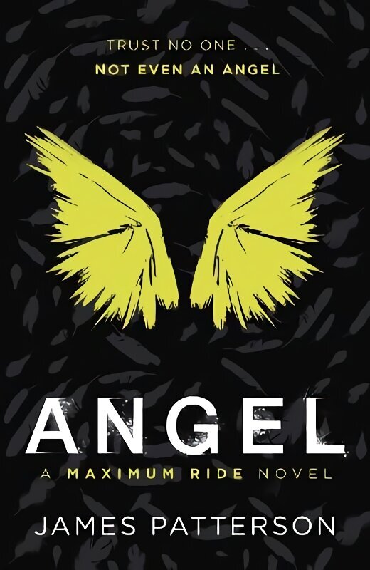Angel: A Maximum Ride Novel: (Maximum Ride 7) cena un informācija | Grāmatas pusaudžiem un jauniešiem | 220.lv