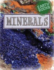 Earth Rocks: Minerals цена и информация | Книги для подростков и молодежи | 220.lv