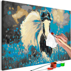 DIY glezna uz audekla - Running Horses cena un informācija | Gleznas pēc numuriem | 220.lv