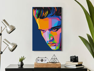 Gleznošana pēc cipariem Colourful Elvis 40x60 cm cena un informācija | Gleznas pēc numuriem | 220.lv