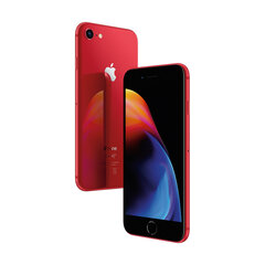 iPhone 8 64GB Red (atjaunots, stāvoklis A) cena un informācija | Mobilie telefoni | 220.lv