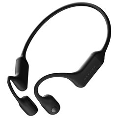 Haylou BC01 Wireless Earbuds Black цена и информация | Наушники | 220.lv