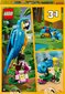31136 LEGO® Creator Eksotiskais papagailis cena un informācija | Konstruktori | 220.lv