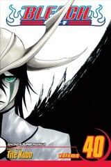 Bleach, Vol. 40: The Lust, 40 цена и информация | Фантастика, фэнтези | 220.lv