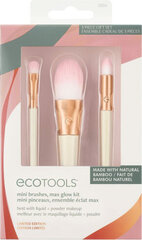 Набор кисточек для макияжа Ecotools Ready Glow, лимитированная серия, 3 предмета цена и информация | Кисти для макияжа, спонжи | 220.lv