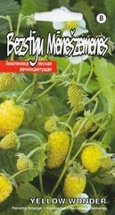 Земляника Жёлтое чудо (YELLOW WONDER) 0,1g цена и информация | Семена овощей, ягод | 220.lv