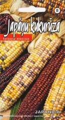 ЯПОНСКАЯ КУКУРУЗА ЯПОНИКА. Семена кукурузы цена и информация | Семена овощей, ягод | 220.lv