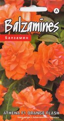 Balzamīnes athena f1 orange flash cena un informācija | Dārzeņu, ogu sēklas | 220.lv