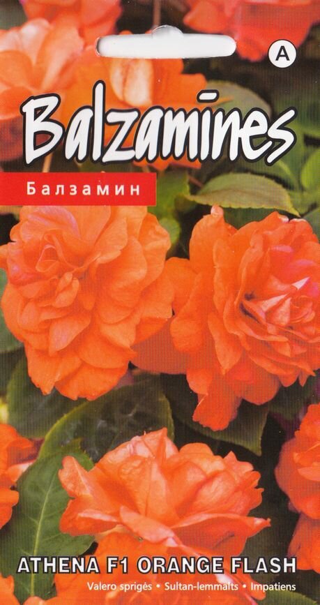 Balzamīnes athena f1 orange flash цена и информация | Dārzeņu, ogu sēklas | 220.lv