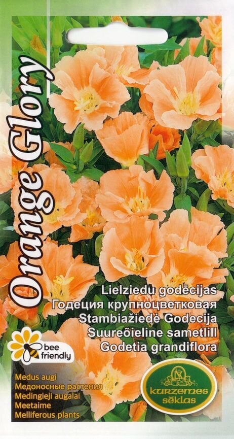 Godēcijas orange glory цена и информация | Puķu sēklas | 220.lv