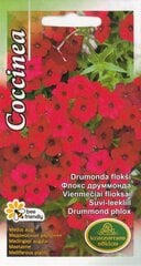 Флокс Друмонда Coccinea цена и информация | Семена цветов | 220.lv