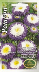 Астры Помпон Blue & White цена и информация | Семена цветов | 220.lv
