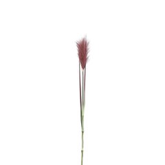 Mākslīgās argentīnas kortadērijas zars 72cm цена и информация | Искусственные цветы | 220.lv
