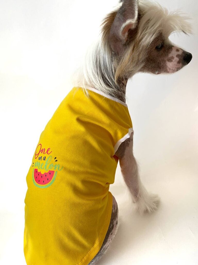 T-krekls "Arbūzs" цена и информация | Apģērbi suņiem | 220.lv