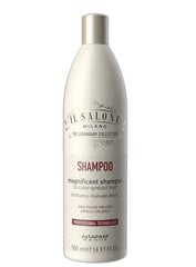 Šampūns krāsotiem matiem Alfaparf Il Salone Milano Magnificient, 500 ml цена и информация | Шампуни | 220.lv