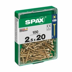 Коробка для винтов SPAX Шуруп Плоская головка (2,5 x 20 mm) цена и информация | Крепежные изделия | 220.lv