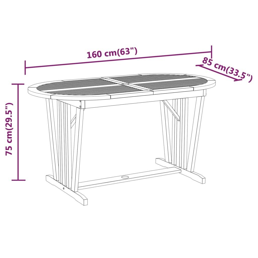 vidaXL dārza galds, 160x85x75 cm, eikalipta masīvkoks cena un informācija | Dārza galdi | 220.lv