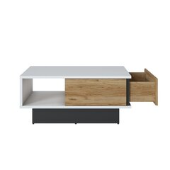 Coffee table SALINAS 100x64xH46cm цена и информация | Журнальные столики | 220.lv