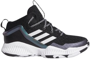 Обувь Adidas Lockdown J Black FZ1696 FZ1696/5.5 цена и информация | Детская спортивная обувь | 220.lv