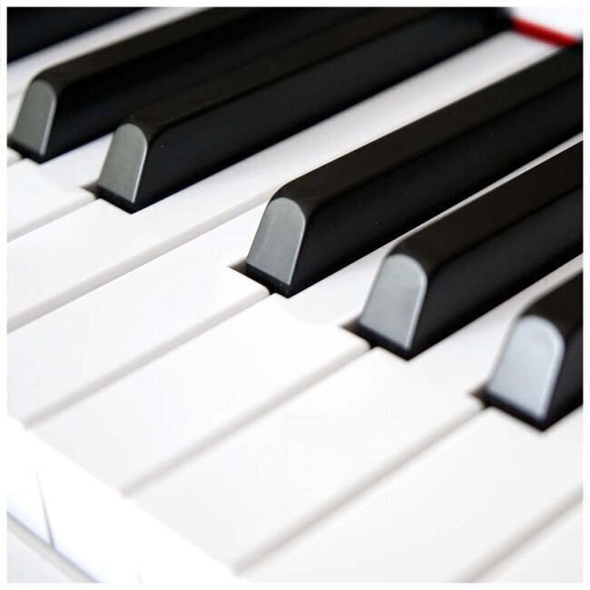 Elektriskās klavieres MAXSETBL-88 cena un informācija | Taustiņinstrumenti | 220.lv