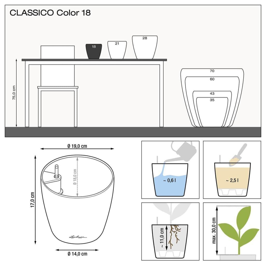 LECHUZA puķu kaste CLASSICO Color 18 ALL-IN-ONE, šīfera krāsā cena un informācija | Puķu podi | 220.lv