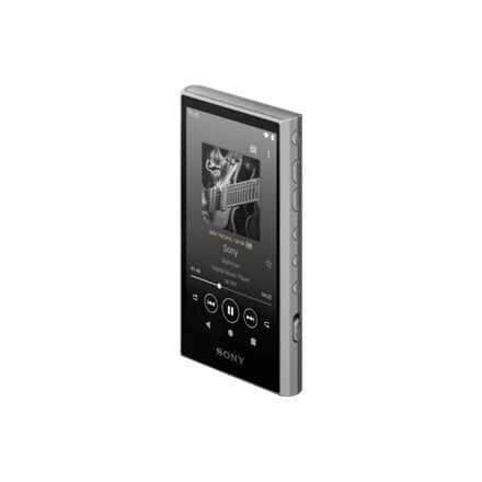 MP3 atskaņotājs Sony Walkman NW-A306 32 GB, melns cena un informācija | MP3 atskaņotāji | 220.lv