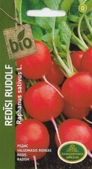 Redīsi rudolf bio цена и информация | Семена овощей, ягод | 220.lv