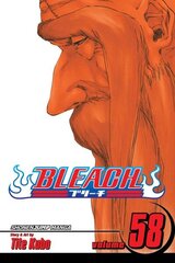 Bleach, Vol. 58: The Fire, 58 цена и информация | Фантастика, фэнтези | 220.lv