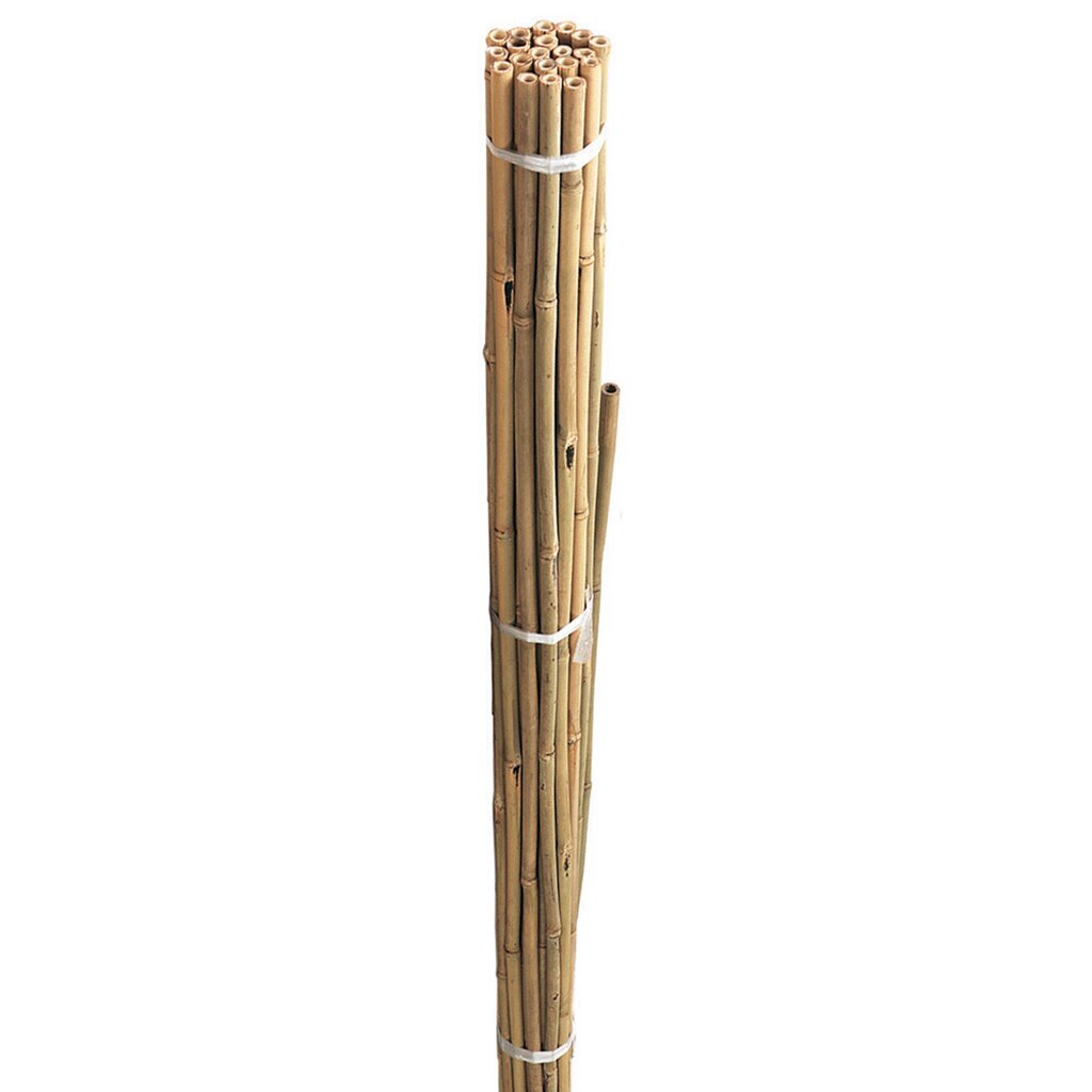 Bambusa kociņi 90cm 20gab cena un informācija | Dārza instrumenti | 220.lv