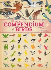 Illustrated Compendium of Birds Illustrated edition цена и информация | Книги для подростков и молодежи | 220.lv