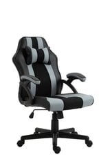 Игровое кресло Aston, черный/красный цвет цена и информация | Офисные кресла | 220.lv