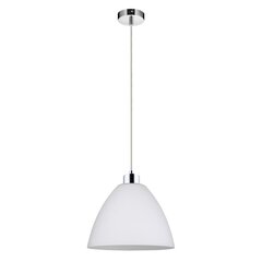 Piekaramā lampa Globe cena un informācija | Lustras | 220.lv