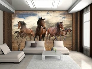 Consalnet Фотообои флизелиновые Horses 312 x 219 cm 10083VEXXL цена и информация | Фотообои | 220.lv