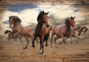Consalnet Fototapeta Horses 312 x 219 cm 10083VEXXL cena un informācija | Fototapetes | 220.lv