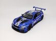 MSZ Miniatūrais modelis - BMW M6 GT3, 1:24 cena un informācija | Rotaļlietas zēniem | 220.lv