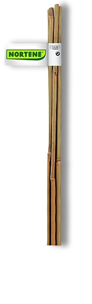 Bambusa kociņi 60 cm 6 gab. cena un informācija | Dārza instrumenti | 220.lv